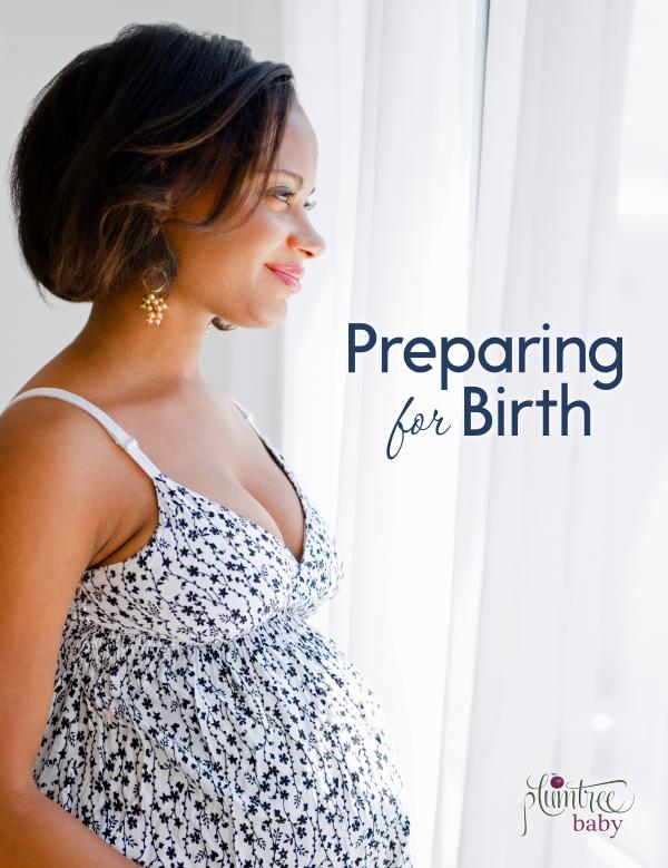 Digital Book Discontinued Preparing for Birth v2.4