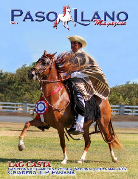 Paso Llano Magazine #7