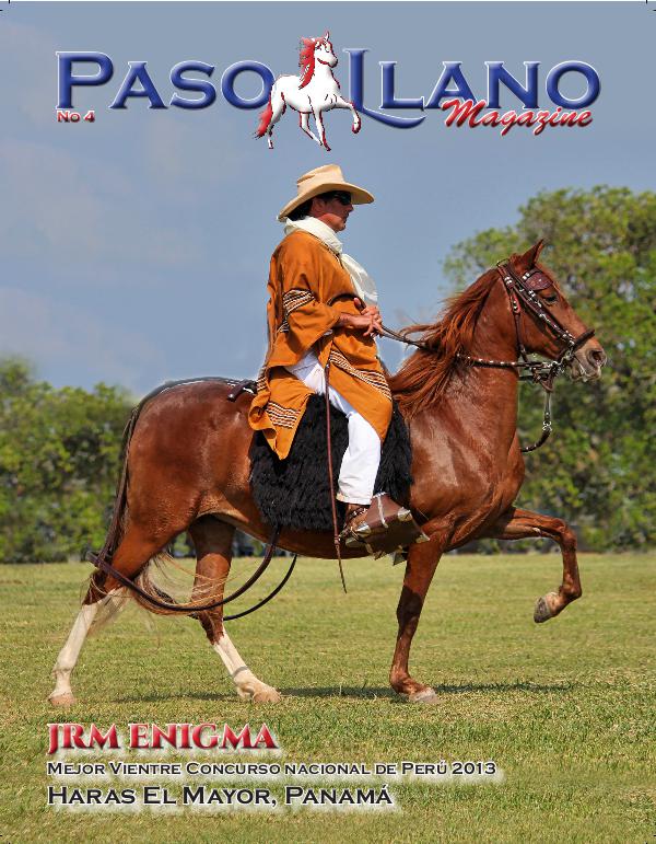 Paso Llano Magazine #4
