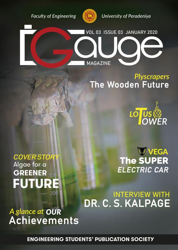Gauge Newsletter January 2020