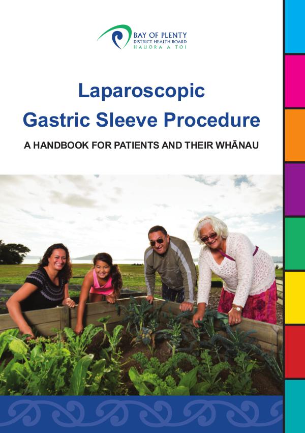 BOPDHB Patient Resources Laparoscopic Gastric Sleeve Procedure