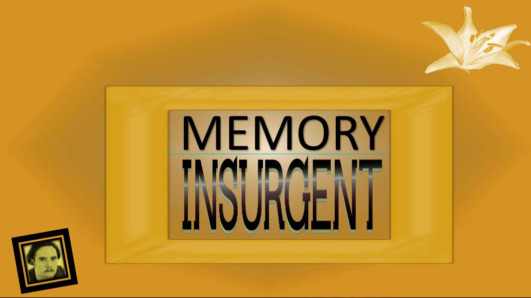 Memory Insurgent Jan 2016