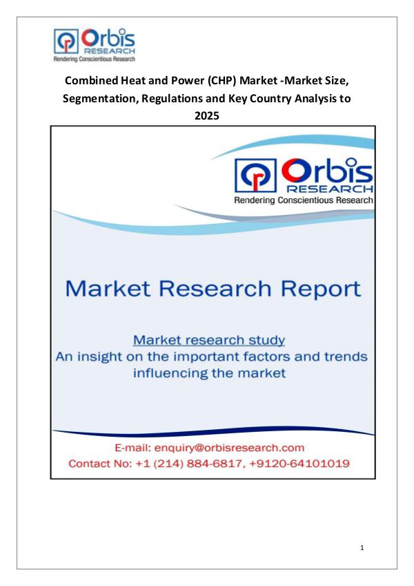 Industry Analysis Combined Heat and Power (CHP) Market 2025 Forecast
