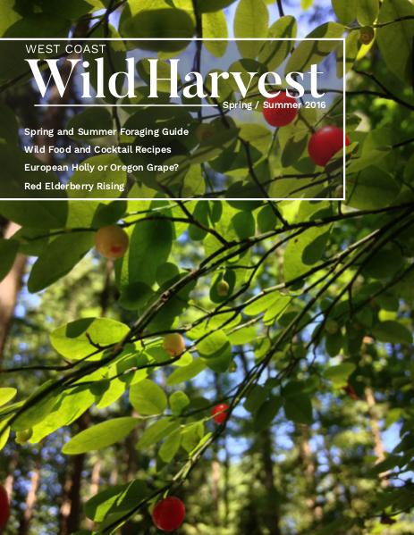 West Coast Wild Harvest Issue 1 Spring/Summer 2016