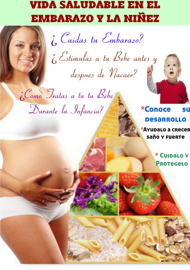 Vida Saludable en el Embarazo y la Niñez 1
