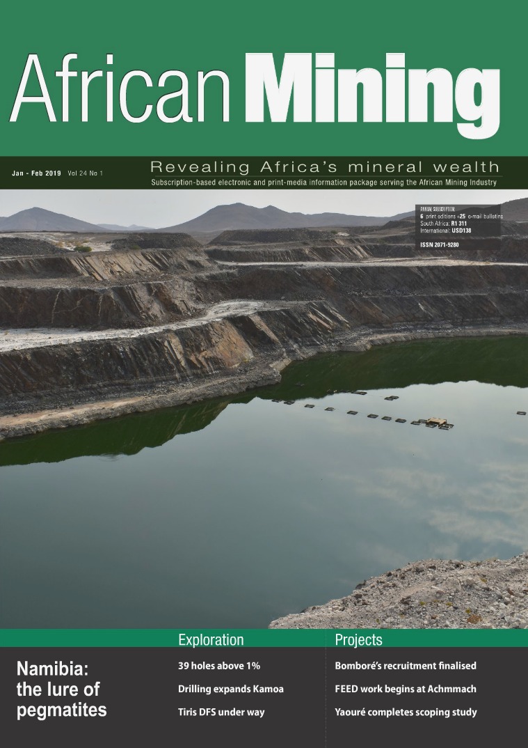 African Mining January - February 2019