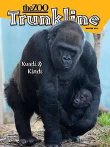 Trunkline Magazine (Louisville Zoo)