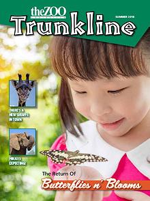 Trunkline Magazine (Louisville Zoo)