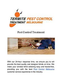 Termite Pest Control Treatment Melbourne