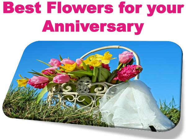 Best Flowers for your Anniversary 1
