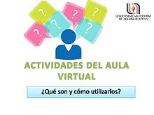 Actividad del aula virtual