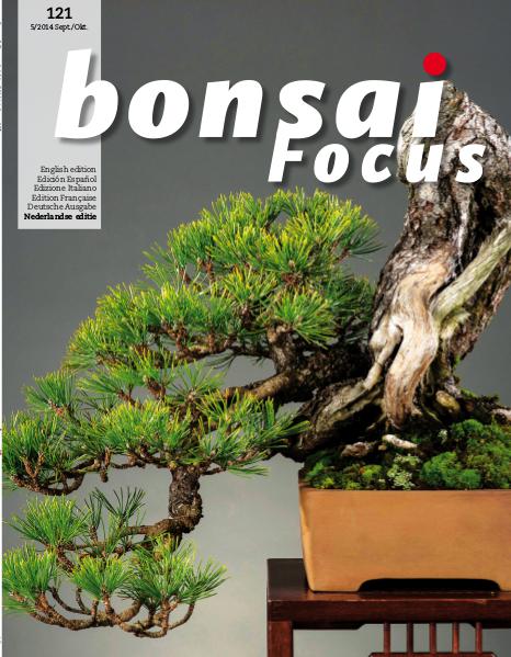BONSAI FOCUS - Nederlands 2014-5