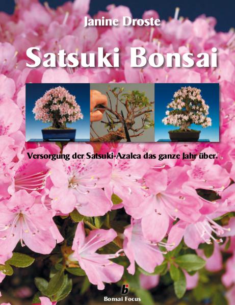Satsuki Bonsai