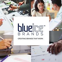 Blueice Brands Brochure