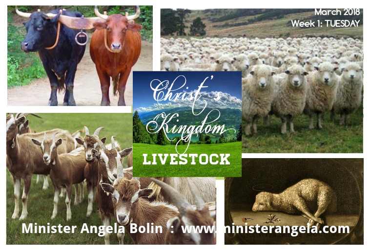 The Livestock of Christ's Kingdom TUESDAY: The Led Sheep