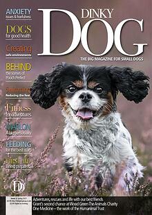 Dinky Dog Mag