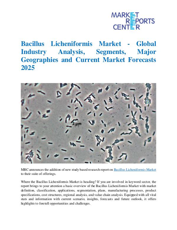 Market Research Reprots- Worldwide Bacillus Licheniformis Market