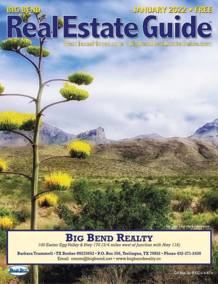 Big Bend Real Estate Guide January 2022