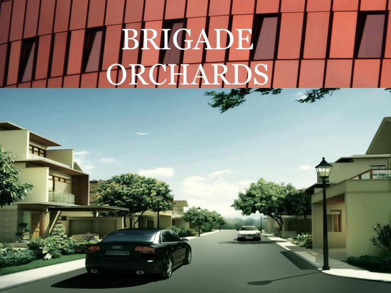 BRIGADE ORCHARDS BRIGADE ORCHARDS