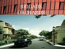 BRIGADE ORCHARDS