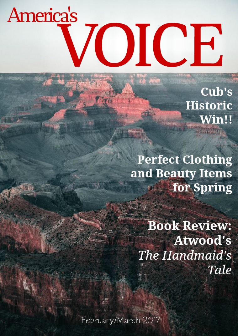 VOICE February/March 2017