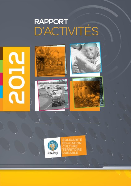 Campagne d'information CG Rapport d'activités 2012