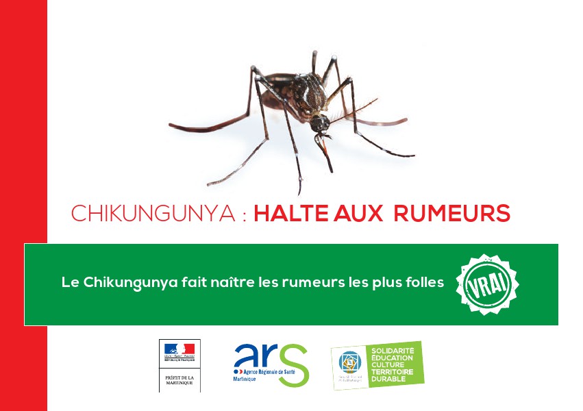 Campagne d'information CG CHIKUNGUNYA : HALTE AUX RUMEURS