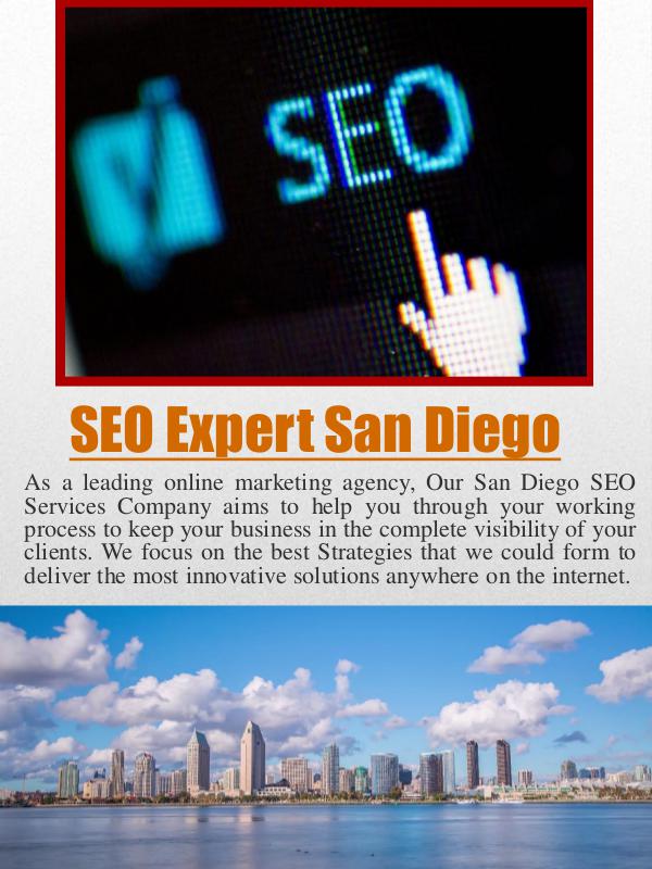 SEO Expert San Diego San Diego SEO Consultant