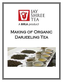 Making of Organic Darjeeling Tea
