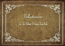 NullwpThemes.com