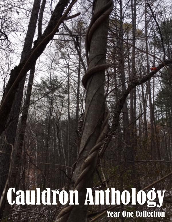 Cauldron Anthology Issue 3: Year 1 Collection Cauldron Anthology Year One Issue FINAL 1.17.18