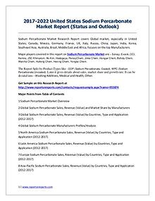 United States Sodium Percarbonate market Analysis, Sales Present Situ