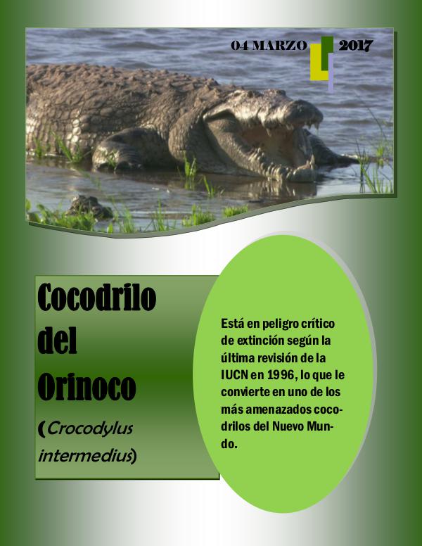 Mi primera revista cocodrilo peligro de extinción | Quiosco Joomag