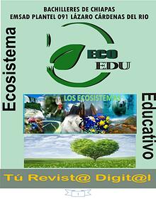 Ecosistema y Tipos de ecosistemas