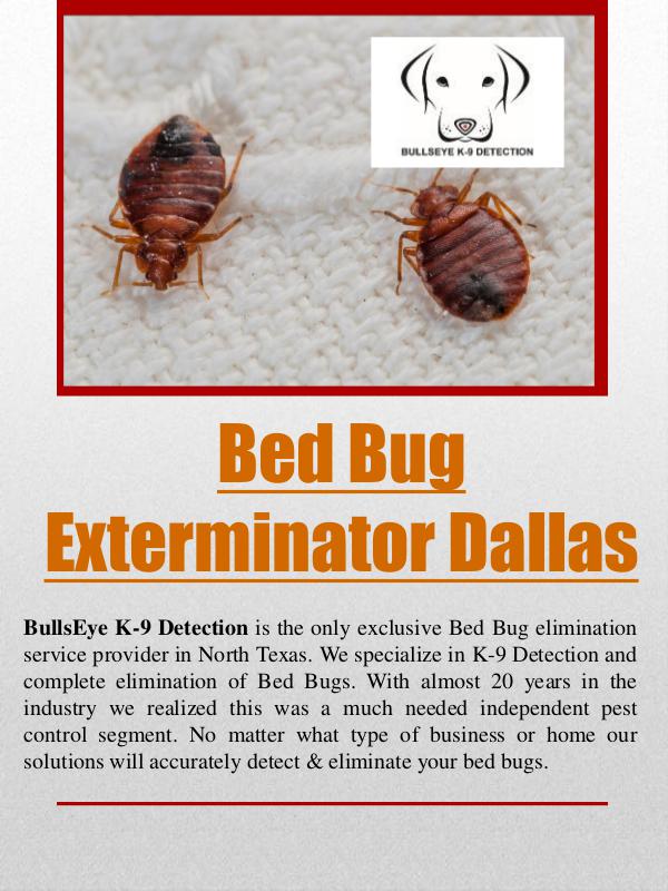 bed bug control bed bug control