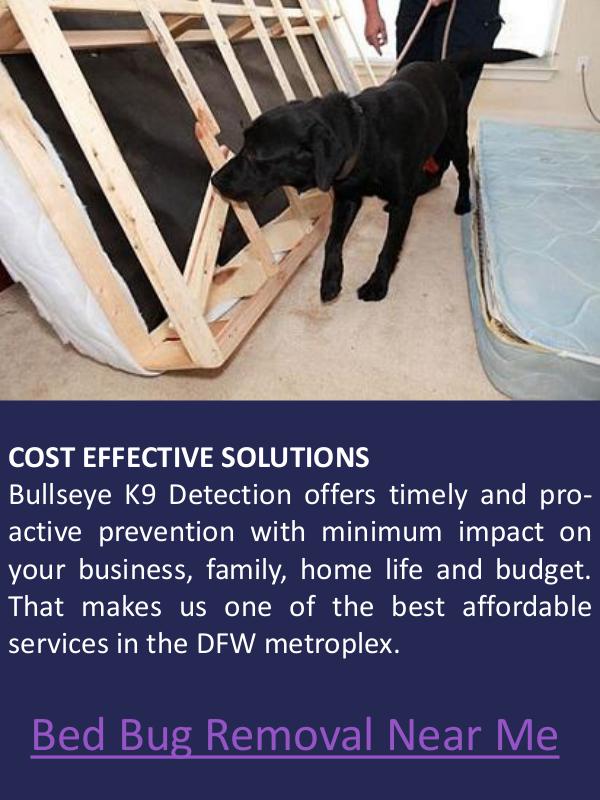 how much does bed bug heat treatment cost Bed Bug Removal Near Me