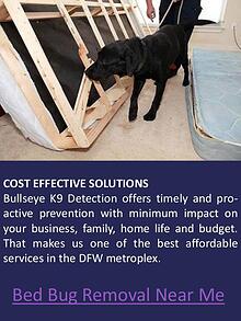 how much does bed bug heat treatment cost