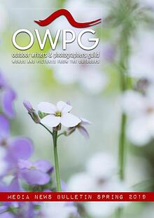 OWPG: Media News Bulletin