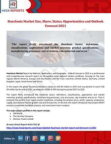 Hexa Reports Industry