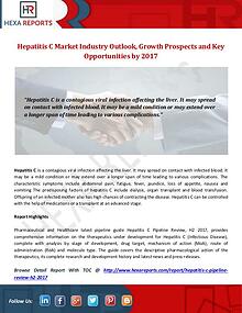 Hexa Reports Industry