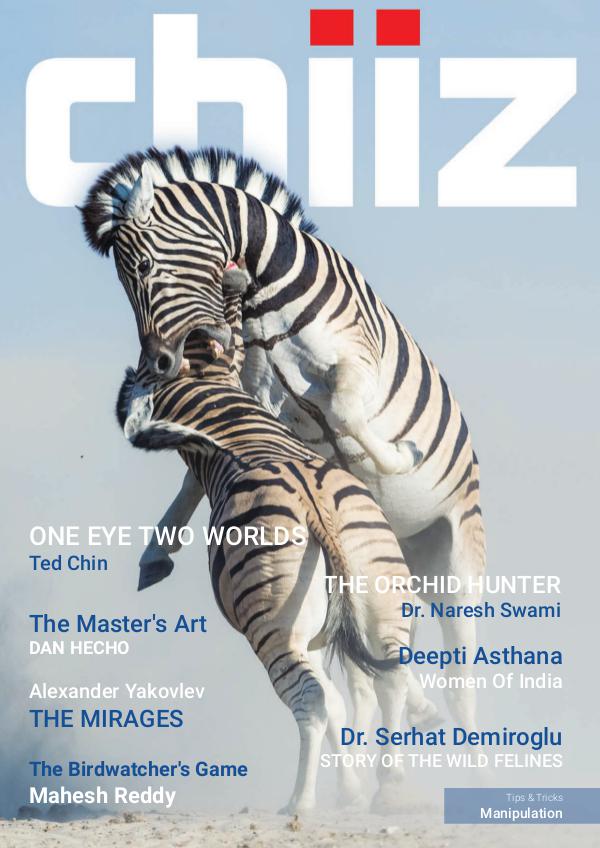 Chiiz Volume 04 : Wildlife Photography