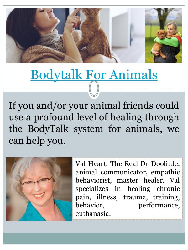 bodytalk for animals bodytalk for animals