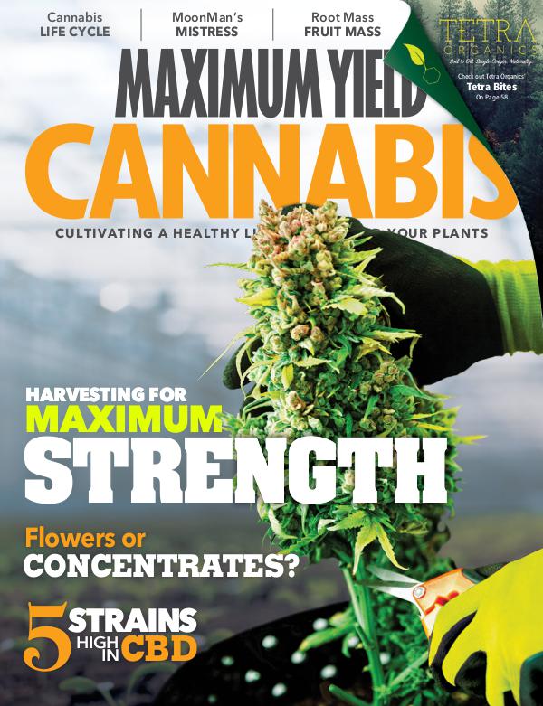Maximum Yield Cannabis Canada 2018 August/September