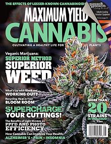 Maximum Yield Cannabis Canada