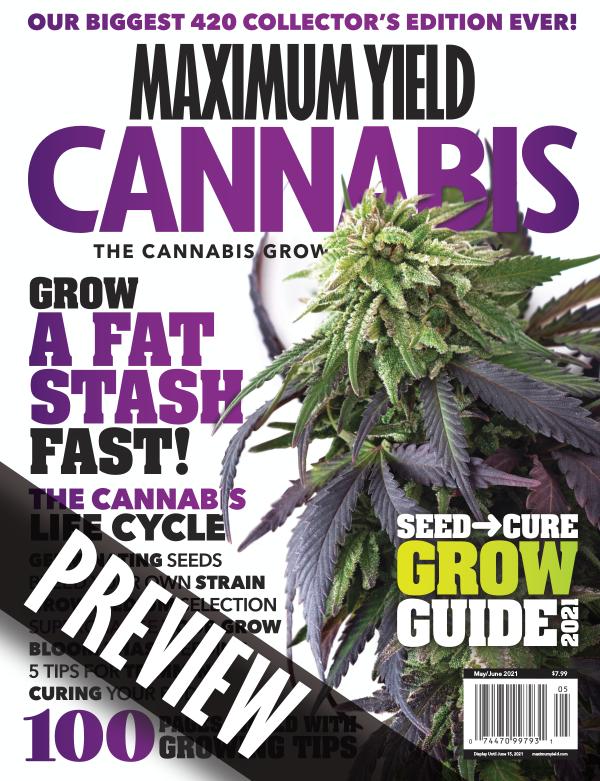 Maximum Yield Cannabis USA Preview May/June 2021