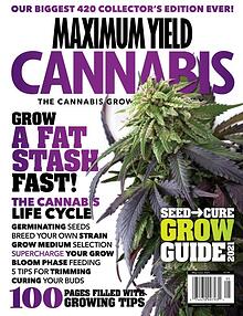 Maximum Yield Cannabis USA