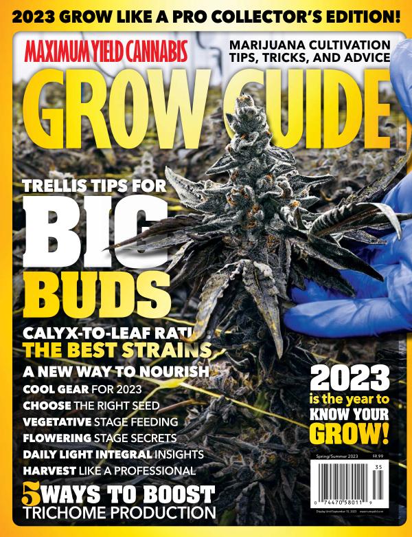Maximum Yield Cannabis Grow Guide 2023