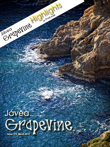Javea Grapevine