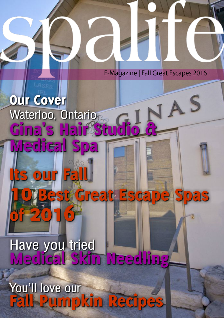 Issue 3 Vol. 16 Fall Great Escapes 2016