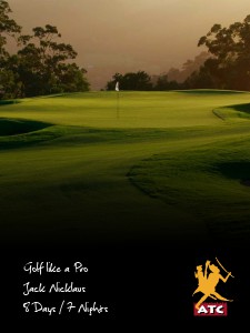 Golf Like a Pro: Jack Nicklaus Version 1